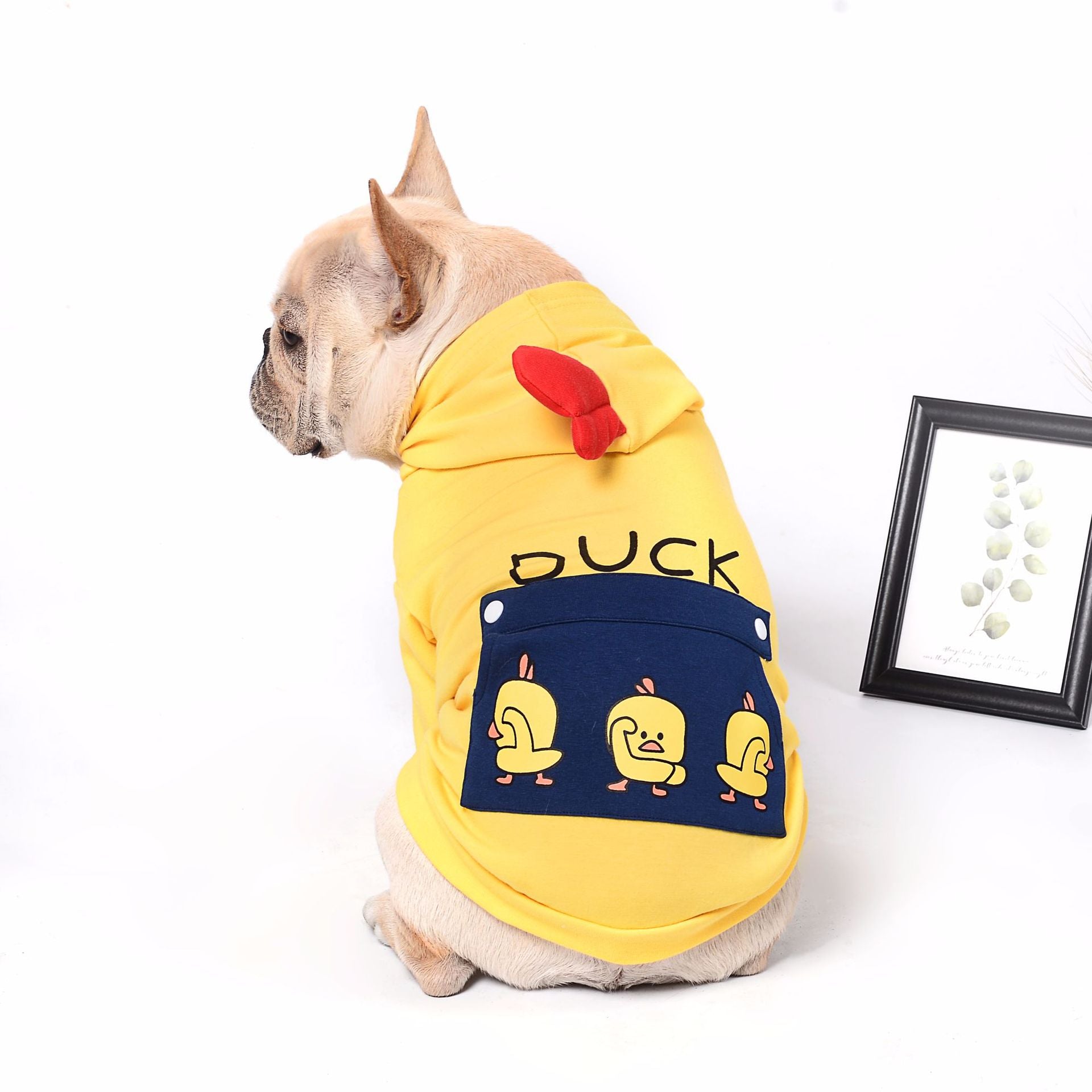 Quack Hoodie